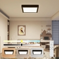 Brilagi - Himmennettävä kylpyhuoneen LED-kattovalaisin FRAME SMART LED/24W/230V 30x30 cm 3000-6000K IP44 musta + kauko-ohjaus
