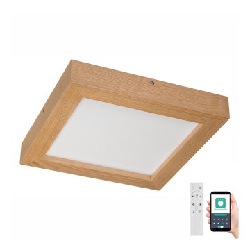 Brilagi - Himmennettävä kylpyhuoneen LED-kattovalaisin WOODY FRAME LED/24W/230V tammi 30x30 cm 3000-6000K IP44 + kauko-ohjaus