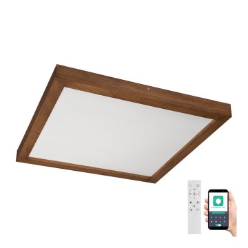 Brilagi - Himmennettävä kylpyhuoneen LED-kattovalaisin WOODY FRAME LED/50W/230V tammi kirsikka 60x60 cm 3000-6000K IP44 + kauko-ohjaus