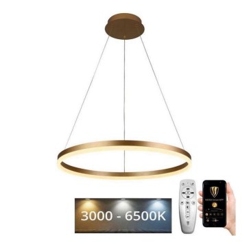 Brilagi - Himmennettävä LED-kattokruunu johdossa CIRCLE LED/42W/230V 3000-6500K + kauko-ohjaus