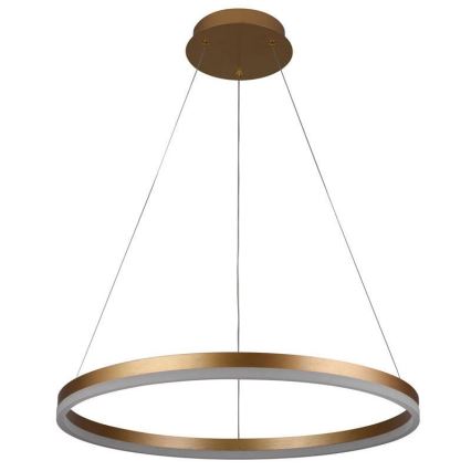 Brilagi - Himmennettävä LED-kattokruunu johdossa CIRCLE LED/42W/230V 3000-6500K + kauko-ohjaus