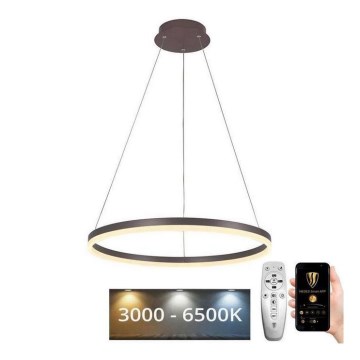 Brilagi - Himmennettävä LED-kattokruunu johdossa CIRCLE LED/42W/230V 3000-6500K ruskea + kauko-ohjaus