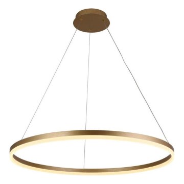 Brilagi - Himmennettävä LED-kattokruunu johdossa CIRCLE LED/55W/230V 3000-6500K kulta + kauko-ohjaus