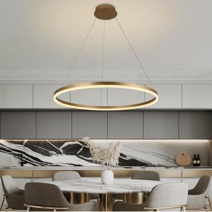 Brilagi - Himmennettävä LED-kattokruunu johdossa CIRCLE LED/55W/230V 3000-6500K kulta + kauko-ohjaus