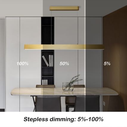 Brilagi - Himmennettävä LED-kattokruunu johdossa SLEEKLINE SMART LED/40W/230V 3000-6000K Wi-Fi Tuya kulta + kauko-ohjaus