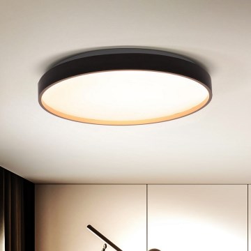 Brilagi - Himmennettävä LED-kattovalaisin CALA LED/48W/230V 3000-6500K halkaisija 38 cm + kauko-ohjaus