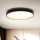 Brilagi - Himmennettävä LED-kattovalaisin CALA LED/48W/230V 3000-6500K halkaisija 38 cm + kauko-ohjaus