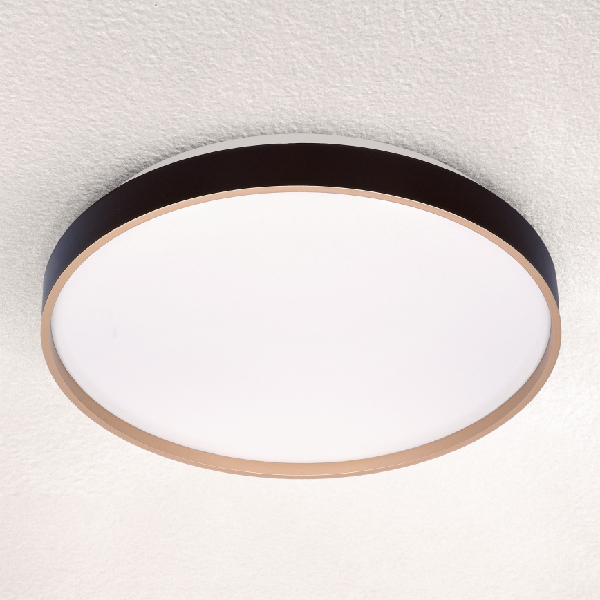 Brilagi - Himmennettävä LED-kattovalaisin CALA LED/48W/230V 3000-6500K halkaisija 38 cm + kauko-ohjaus