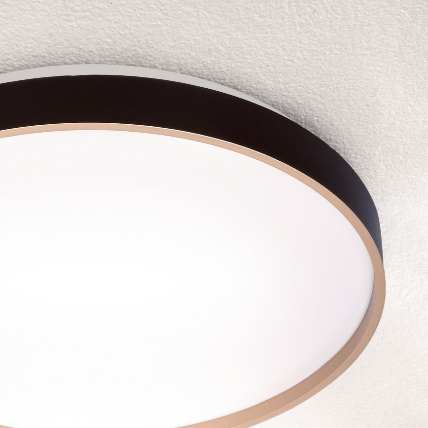 Brilagi - Himmennettävä LED-kattovalaisin CALA LED/48W/230V 3000-6500K halkaisija 38 cm + kauko-ohjaus