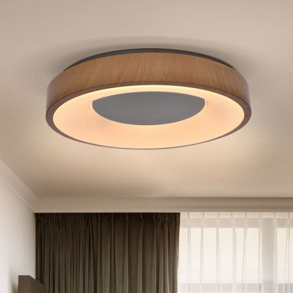 Brilagi - Himmennettävä LED-kattovalaisin DORIA LED/48W/230V 3000-6500K halkaisija 39 cm + kauko-ohjaus