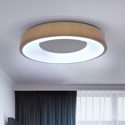 Brilagi - Himmennettävä LED-kattovalaisin DORIA LED/48W/230V 3000-6500K halkaisija 39 cm + kauko-ohjaus