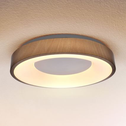 Brilagi - Himmennettävä LED-kattovalaisin DORIA LED/48W/230V 3000-6500K halkaisija 39 cm + kauko-ohjaus