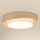 Brilagi - Himmennettävä LED-kattovalaisin DOVER SHINE LED/24W/230V 3000/4000/6500K harmaa/kerma + kauko-ohjaus