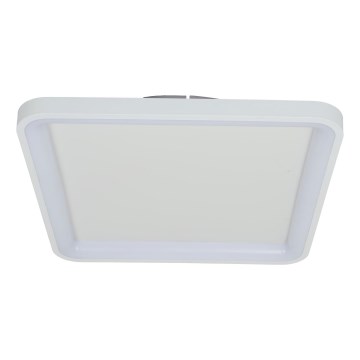 Brilagi - himmennettävä LED-kattovalaisin FALCON SLIM LED/50W/230V 3000-6500K 50x50 cm valkoinen + kaukosäädin
