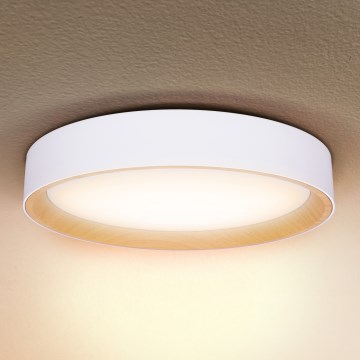 Brilagi - Himmennettävä LED-kattovalaisin LARIOS LED/48W/230V 3000-6500K ø 39 cm valkoinen + kauko-ohjaus