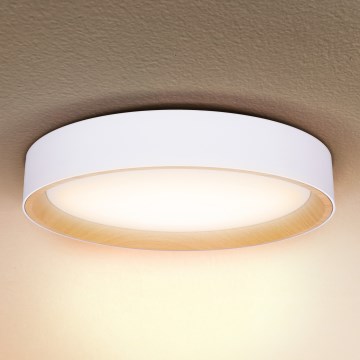 Brilagi - Himmennettävä LED-kattovalaisin LARIOS LED/60W/230V 3000-6500K ø 49 cm valkoinen + kauko-ohjaus