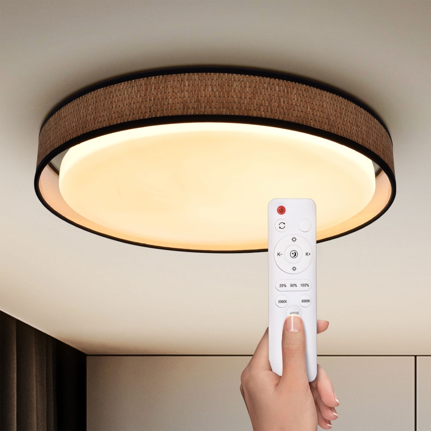 Brilagi - Himmennettävä LED-kattovalaisin PILAR LED/48W/230V 3000-6500K halkaisija 43 cm + kauko-ohjaus