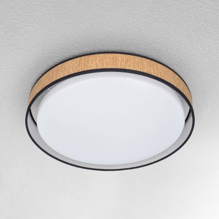 Brilagi - Himmennettävä LED-kattovalaisin PILAR LED/48W/230V 3000-6500K halkaisija 43 cm + kauko-ohjaus
