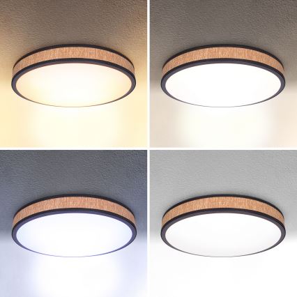 Brilagi - Himmennettävä LED-kattovalaisin ROSA LED/48W/230V 3000-6500K halkaisija 38 cm + kauko-ohjaus