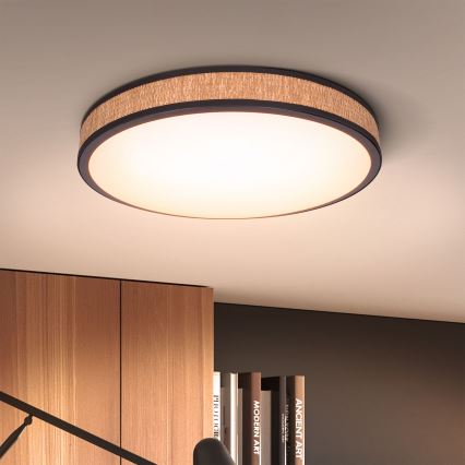 Brilagi - Himmennettävä LED-kattovalaisin ROSA LED/48W/230V 3000-6500K halkaisija 38 cm + kauko-ohjaus