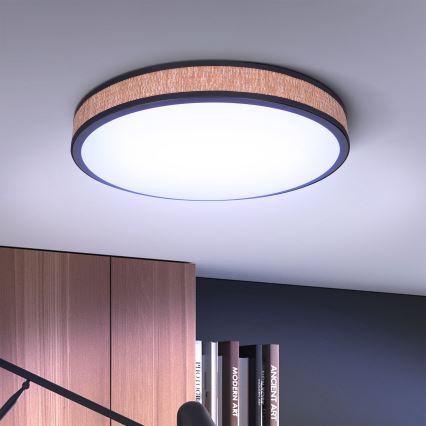 Brilagi - Himmennettävä LED-kattovalaisin ROSA LED/48W/230V 3000-6500K halkaisija 38 cm + kauko-ohjaus