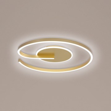 Brilagi -Himmennettävä LED-kattovalaisin SPIRAL LED/56W/230V 3000/4000/6000K+ kauko-ohjaus
