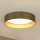 Brilagi - Himmennettävä LED-kattovalaisin VEGAS SHINE LED/24W/230V 3000/4000/6500K olki ruskea/kulta + kauko-ohjaus