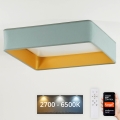 Brilagi - Himmennettävä LED-kattovalaisin VELVET SQUARE SMART LED/36W/230V 2700-6500K Wi-Fi Tuya + kauko-ohjaus minttu