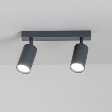 Brilagi - himmennettävä LED-kohdevalaisin SELE 2xGU10/6,5W/230V 2700-6500K antrasiitti