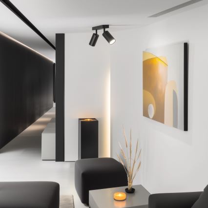 Brilagi - LED-himmennettävä kohdevalaisin SELE 2xGU10/6,5W/230V 2700-6500K musta