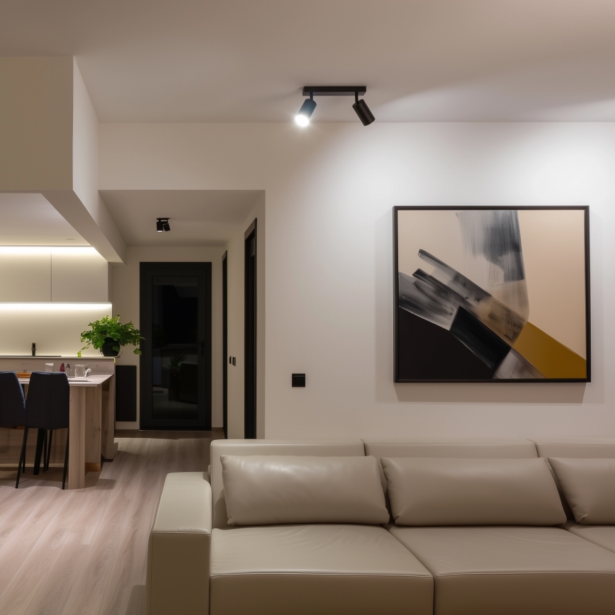 Brilagi - LED-himmennettävä kohdevalaisin SELE 2xGU10/6,5W/230V 2700-6500K musta