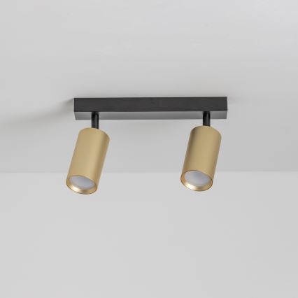 Brilagi - LED-himmennettävä kohdevalaisin SELE GOLDEN 2xGU10/6,5W/230V 2700-6500K musta/kultainen