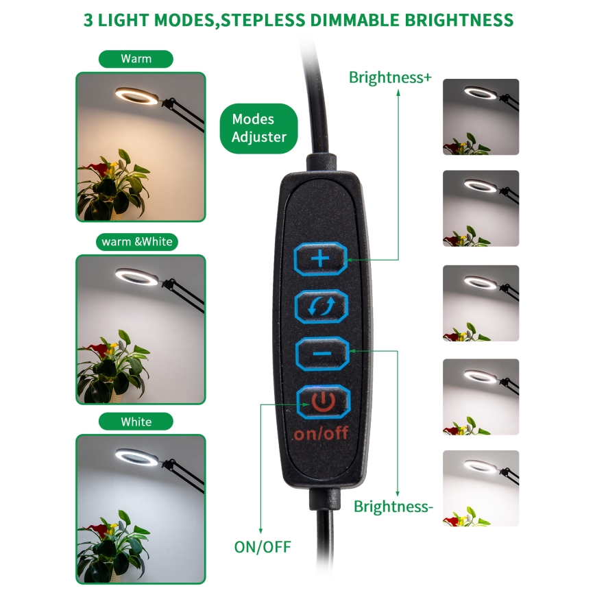 Brilagi - Himmennettävä LED-pöytävalaisin suurennuslasilla LENS LED/12W/5V 3000/4200/6000K musta