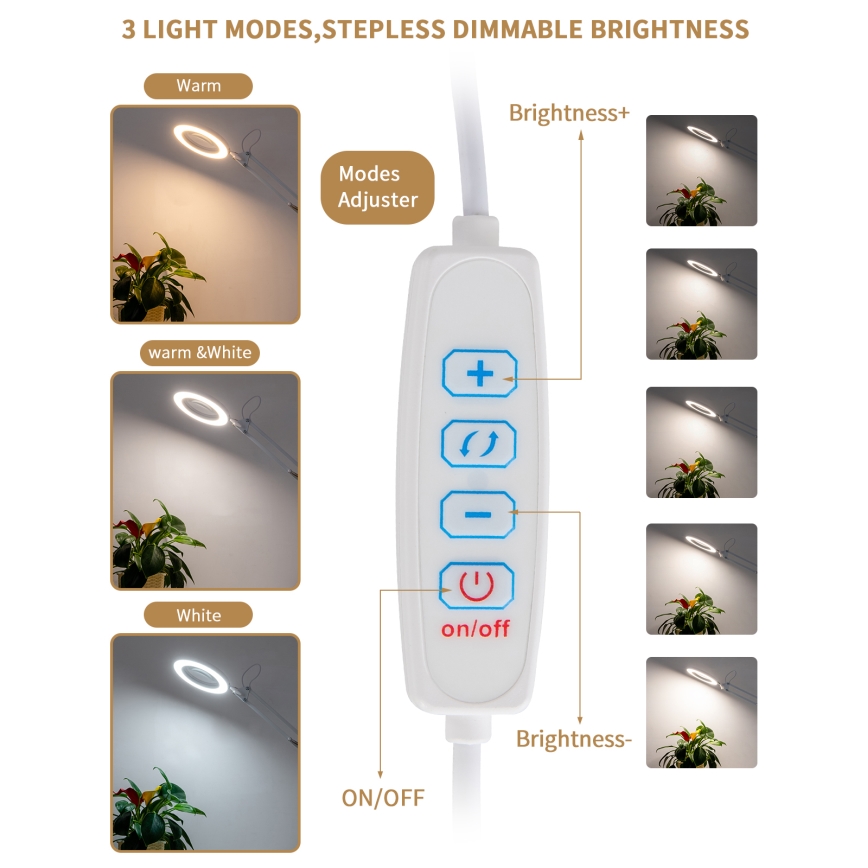 Brilagi - Himmennettävä LED-pöytävalaisin suurennuslasilla LENS LED/12W/5V 3000/4200/6000K valkoinen