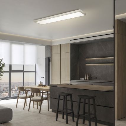 Brilagi - Himmennettävä kylpyhuoneen LED-kattovalaisin FRAME SMART LED/50W/230V 120x30 cm 3000-6000K IP44 hopea + kauko-ohjaus