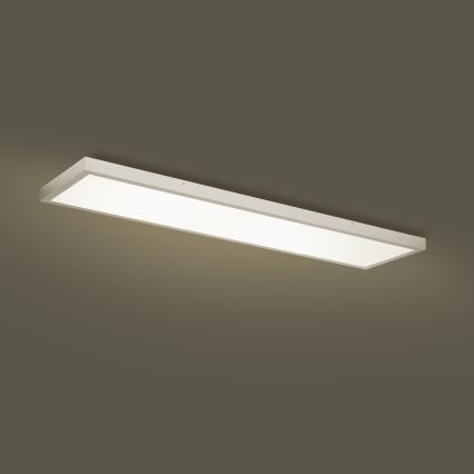 Brilagi - Himmennettävä kylpyhuoneen LED-kattovalaisin FRAME SMART LED/50W/230V 120x30 cm 3000-6000K IP44 hopea + kauko-ohjaus