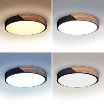 Brilagi - LED himmennettävä kattovalaisin PILANA LED/48W/230V 3000-6500K tammi Ø 40 cm + kaukosäädin