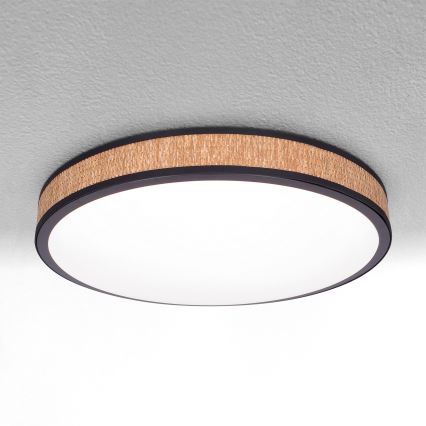 Brilagi - LED himmennettävä kattovalaisin ROSA LED/48W/230V 3000-6500K halkaisija 38 cm + kaukosäädin