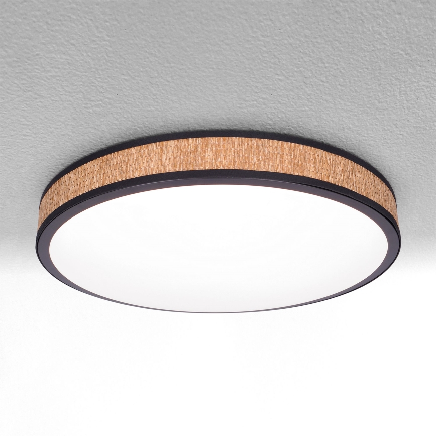 Brilagi - LED himmennettävä kattovalaisin ROSA LED/48W/230V 3000-6500K halkaisija 38 cm + kaukosäädin