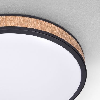 Brilagi - LED himmennettävä kattovalaisin ROSA LED/48W/230V 3000-6500K halkaisija 38 cm + kaukosäädin