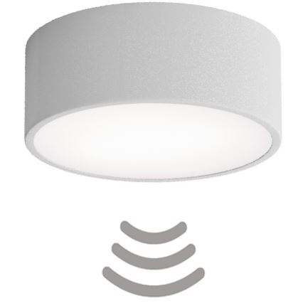 Brilagi - Kattovalaisin anturilla CLARE 1xE27/24W/230V halkaisija 20 cm harmaa