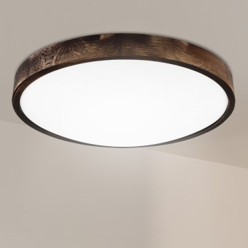 Brilagi - Kattovalaisin CARVALHO SMOKEY 3xE27/60W/230V tammi halkaisija 47,5 cm