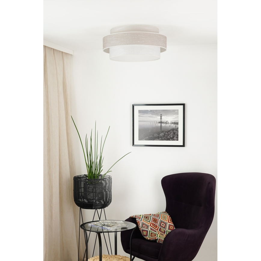 Brilagi - Kattovalo DOVER SPACE LED/12W/230V halkaisija 50 cm 3000K/4000K/6400K harmaa/kerma