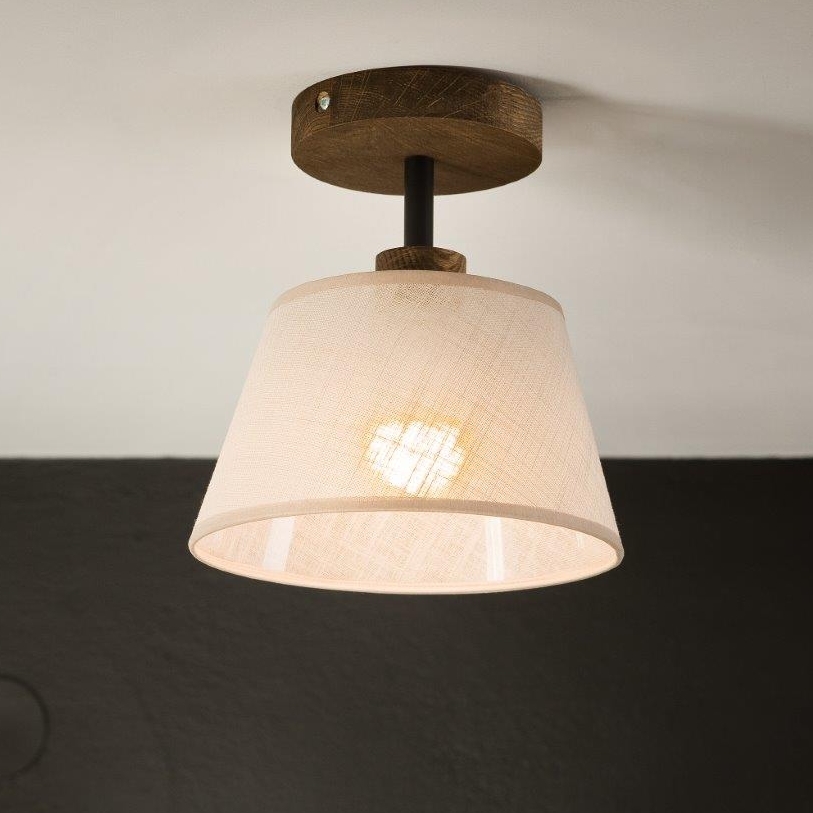 Brilagi - Kiinteä kattokruunu ANTHONY 1xE14/60W/230V tammi/beige