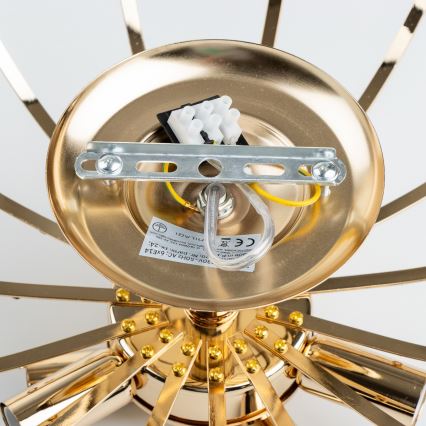 Brilagi - Kiinteä kattokruunu CRYSTAL 6xE14/60W/230V kulta