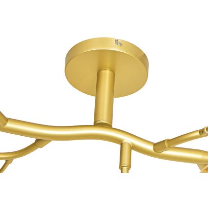Brilagi - Kiinteä LED-kattokruunu MISTEL 15xG9/3W/230V kulta/valkoinen