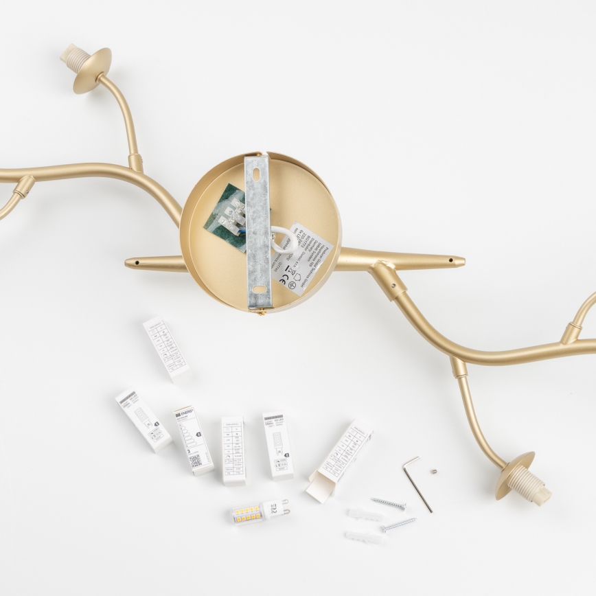 Brilagi - Kiinteä LED-kattokruunu MISTEL 6xG9/3W/230V kulta