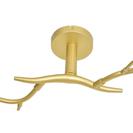 Brilagi - Kiinteä LED-kattokruunu MISTEL 6xG9/3W/230V kulta/valkoinen