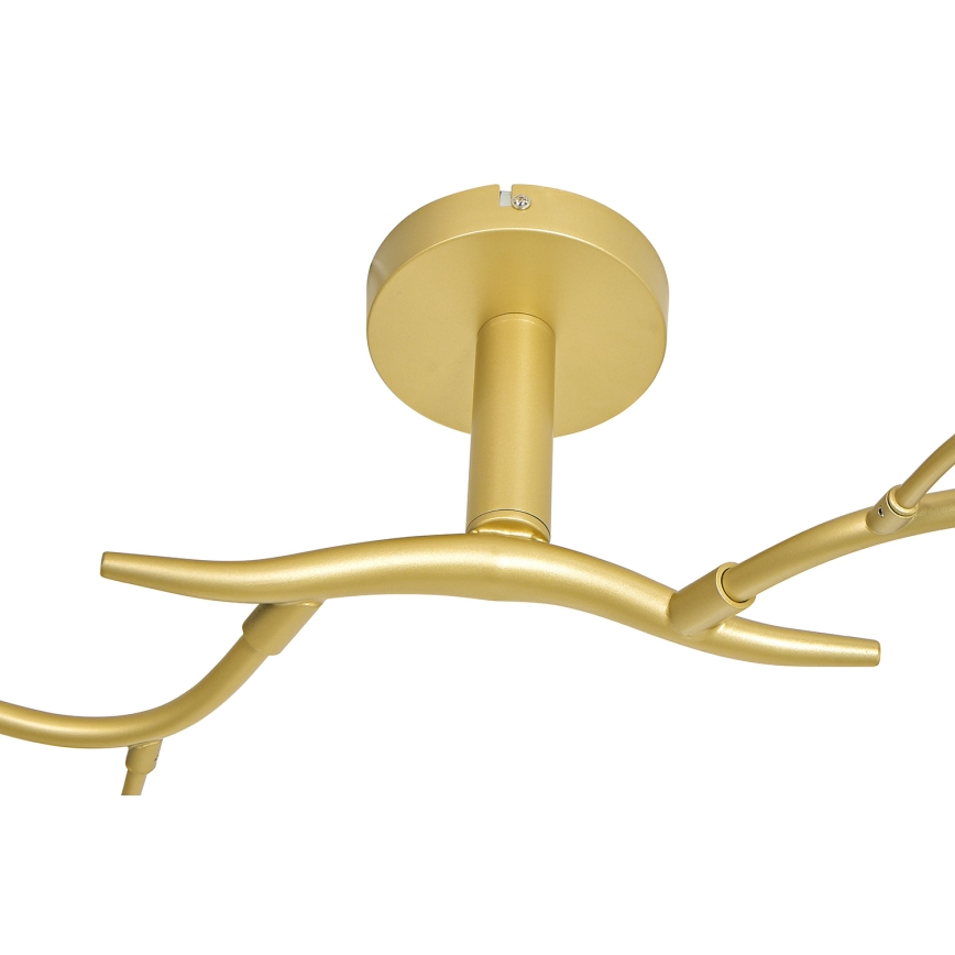 Brilagi - Kiinteä LED-kattokruunu MISTEL 6xG9/3W/230V kulta/valkoinen