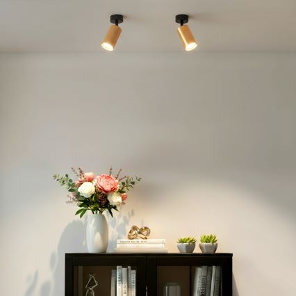 Brilagi - Kohdevalaisin SELE MODERN 1xGU10/30W/230V kulta